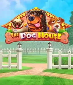 Pragmatic Play's The Dog House, featuring a delightful adventure among playful pups. Discover gameplay elements including sticky wilds, designed for providing joyful moments. Ideal for animal enthusiasts a lighthearted theme and the opportunity to win big.