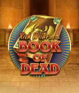 Enter the thrilling world of Book of Dead by Play'n GO, showcasing vivid graphics of Rich Wilde's journey through ancient Egyptian tombs and artifacts. Uncover lost riches with exciting mechanics like free spins, expanding symbols, and a gamble option. Ideal for adventure enthusiasts with a desire for exciting finds.